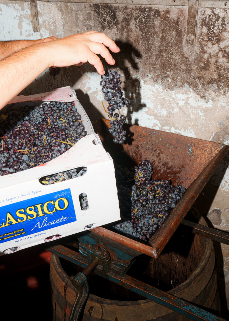 Wine making for Luso Life by Noah Ganhao