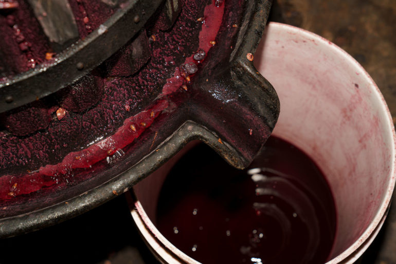 Wine making for Luso Life by Noah Ganhao