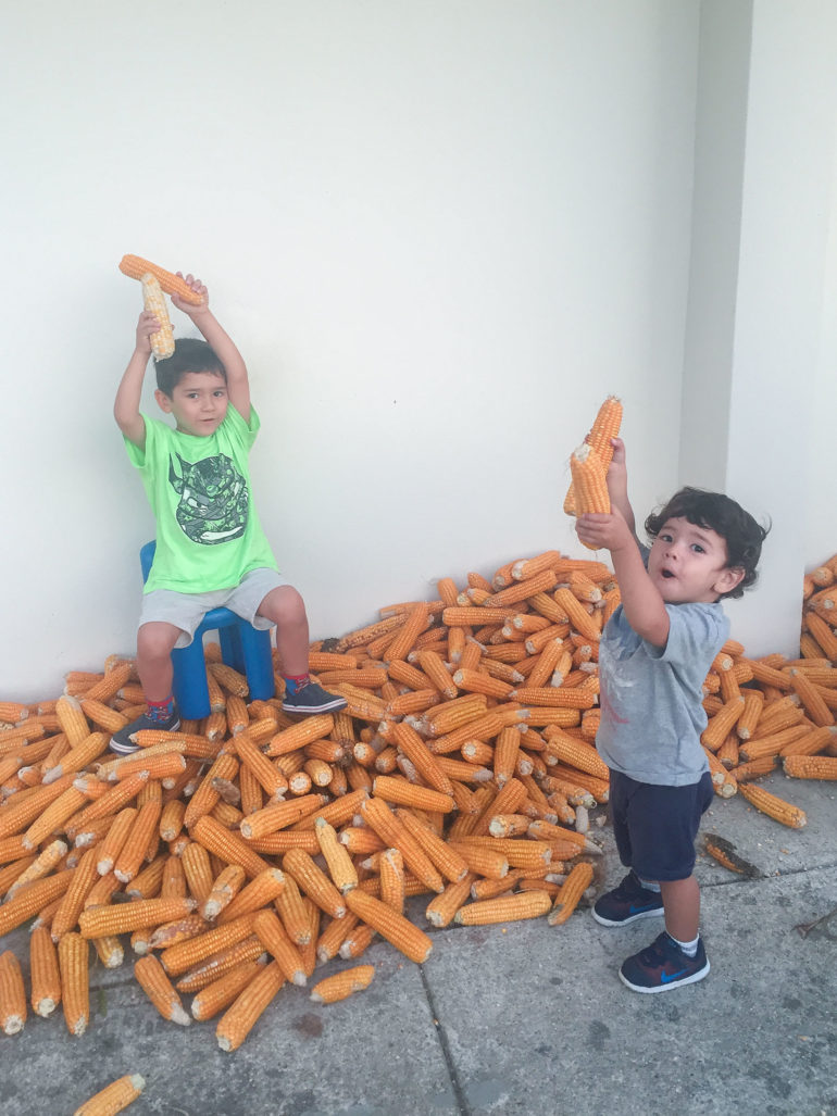 Boys playing with corn in Portugal